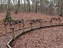 Kur- und Heilwald Heringsdorf - Sensorikpfad