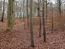 Kur- und Heilwald Heringsdorf - Vierfach Turnreck