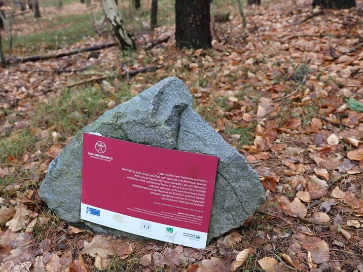 Der Kur- und Heilwald in Heringsdorf