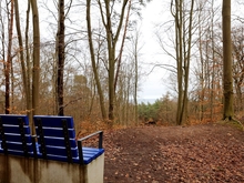 Aussichtspunkt im Kur- und Heilwald Heringsdorf