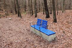 Kur- und Heilwald Heringsdorf - Bänke im Wald