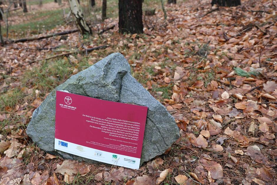 Der Kur- und Heilwald in Heringsdorf