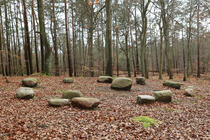 Kur- und Heilwald Heringsdorf - Steinkreis