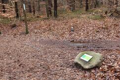 Kur- und Heilwald Heringsdorf - Wegweiser