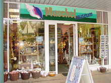 ehemaliges Muschelmuseum Heringsdorf