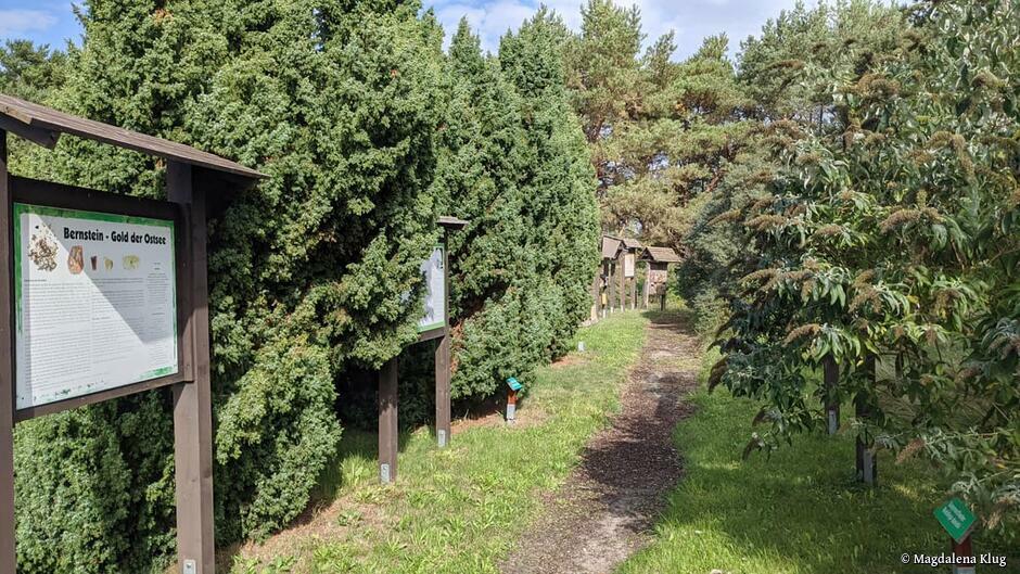 Naturschutzzentrum Karlshagen Insel Usedom