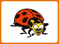 Kinderbild: Marienkäfer