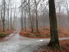 Wanderung Wolgastsee Korswandt Winter