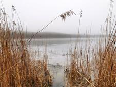 Wanderung Wolgastsee Korswandt Winter