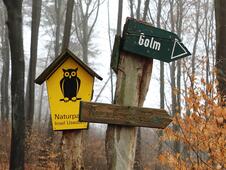 Wanderung Wolgastsee Korswandt Winter
