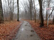 Wanderung Wolgastsee - Weg
