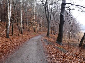 Wanderung Wolgastsee Korswandt Winter