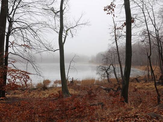 Wanderung Wolgastsee Korswandt Winter