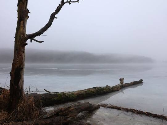 Wanderung Wolgastsee Korswandt Winter
