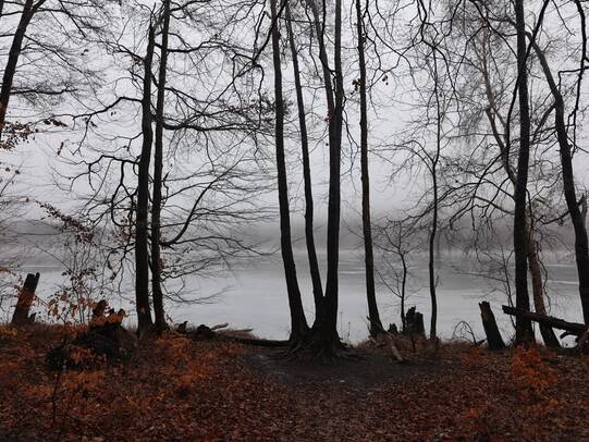Wanderung Wolgastsee Korswandt Winter