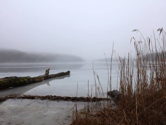 Wanderung Wolgastsee Korswandt Winter