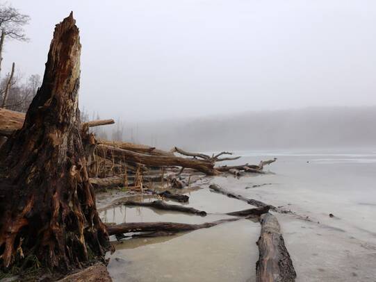 Wanderung Wolgastsee Korswandt Winter