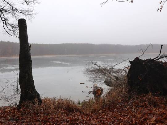 Wanderung Wolgastsee Korswandt Winter