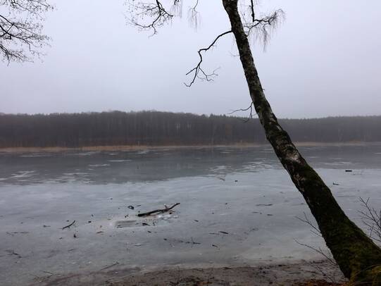 Wanderung Wolgastsee Korswandt Winter