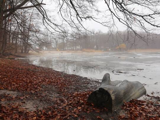 Wanderung Wolgastsee Korswandt Winter