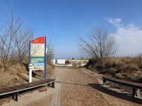 Kinderbild: Kleeblatt