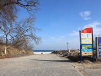 Kinderbild: Marienkäfer