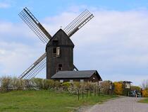 Bockwindmühle Pudagla
