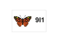 Kinderbild: Schmetterling