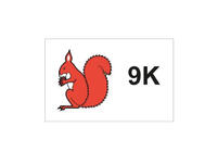 Kinderbild: Eichhörnchen