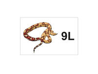 Kinderbild: Schlange