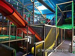 Wildlife Usedom Trassenheide - Indoorspielplatz