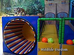 Wildlife Usedom Trassenheide - Indoorspielplatz