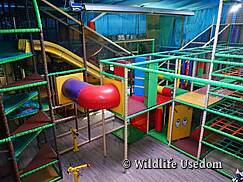 Wildlife Usedom Trassenheide - Indoorspielplatz