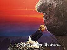 Museum der Illusionen Ückeritz Insel Usedom - Inszenierungen