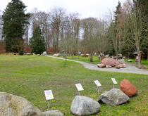 Usedomer Gesteinsgarten