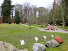 Usedomer Gesteinsgarten