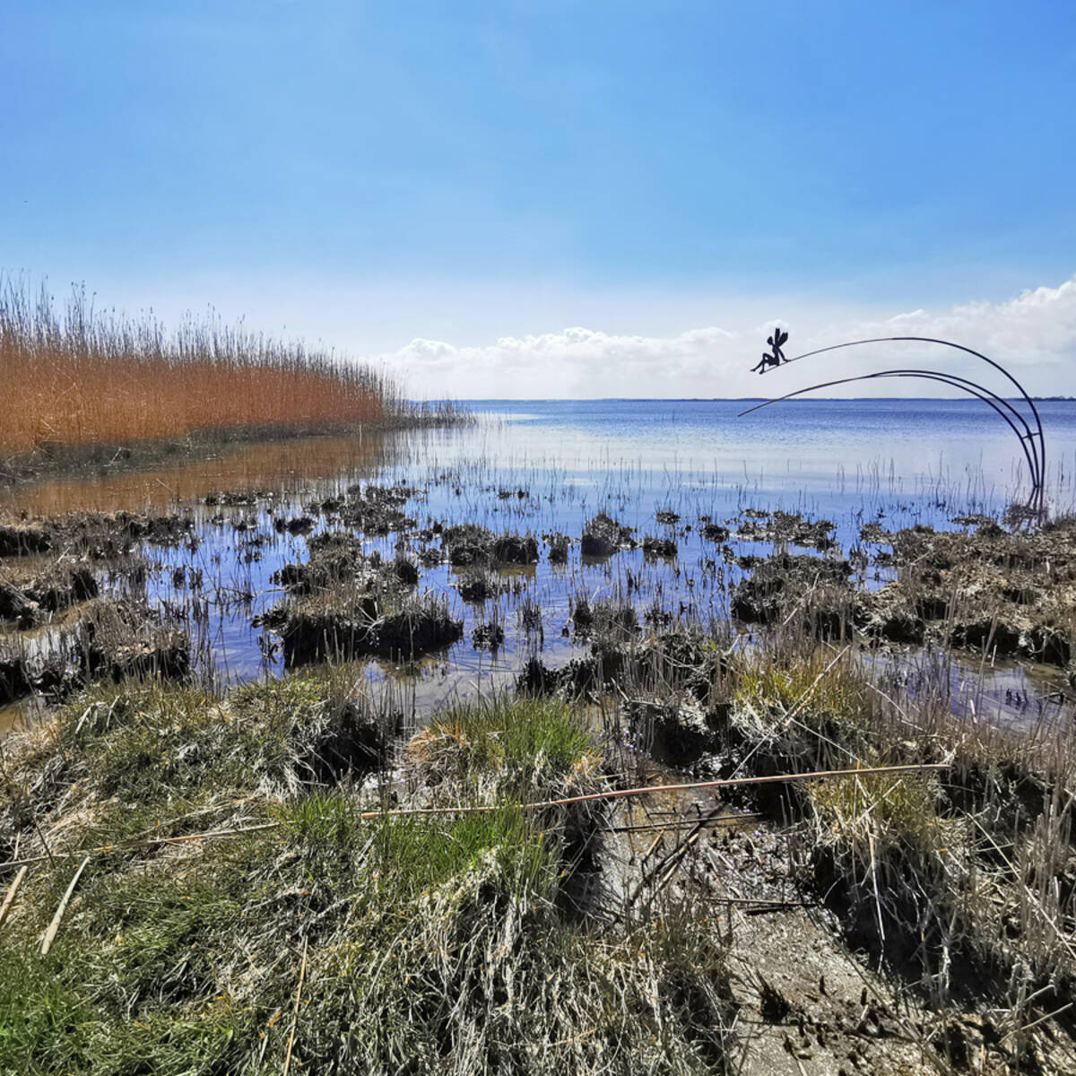 Achterwasser Zempin