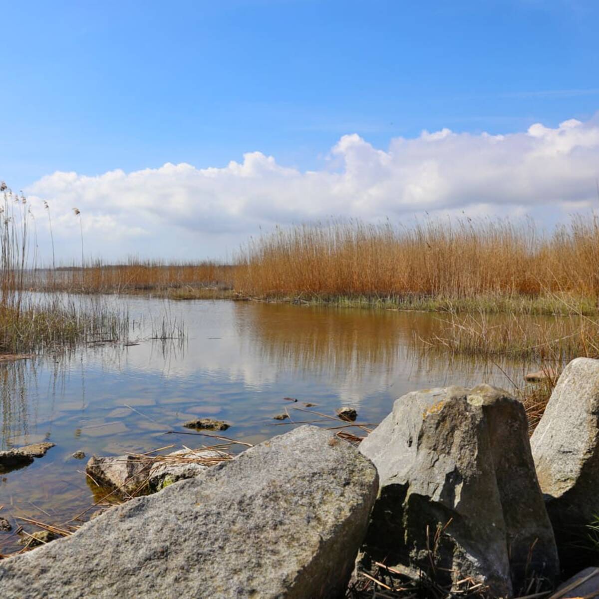 Hafen Zempin - Achterwasser