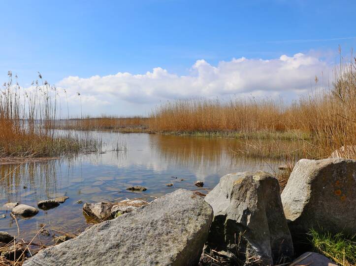 Hafen Zempin - Achterwasser