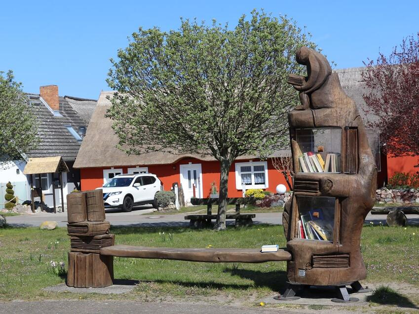 Bücherbaum Zempin Insel Usedom