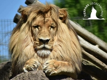 Tierpark Ueckermünde