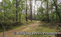 Pilgern auf dem Greifenweg, Etappe 1 - Schlagbaum