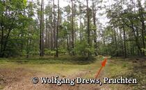 Pilgern auf dem Greifenweg, Etappe 1 - Richtung Schlagbaum