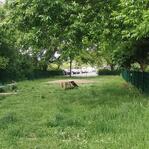 Museen Mecklenburg-Vorpommern