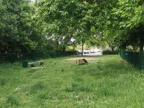 Hundeauslaufzone "Buchenberg" Bad Doberan