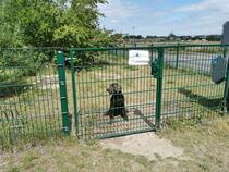 Hundeauslaufzone "Am Mühlenfließ" Bad Doberan