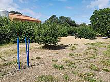 Hundeauslauf / Hundewiese Bad Doberan Kammerhof "Am Mühlenfließ"