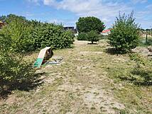 Hundeauslauf / Hundewiese Bad Doberan Kammerhof "Am Mühlenfließ" - Sportgerät