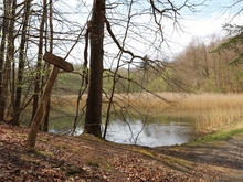 Naturlehrpfad »Naturschutzgebiet Hütter Klosterteiche«