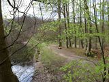 Ausflugsziel: Hütter Klosterteiche